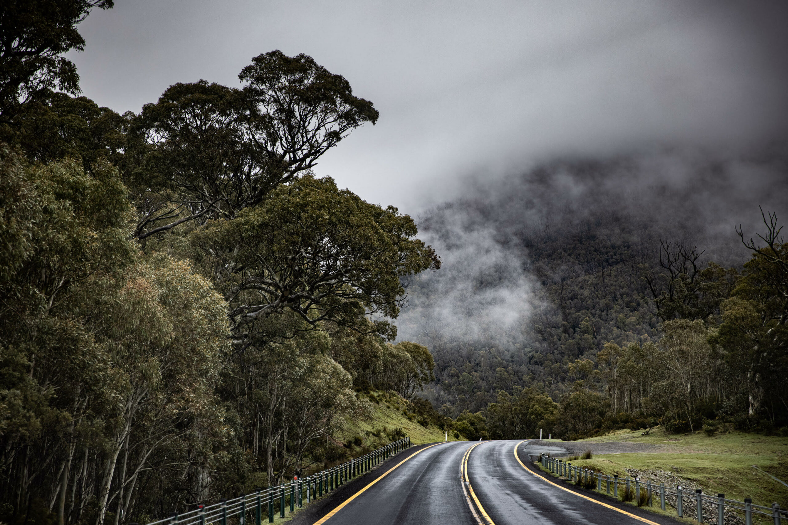 Fog settles on surrounding trees with black mountain road in foreground