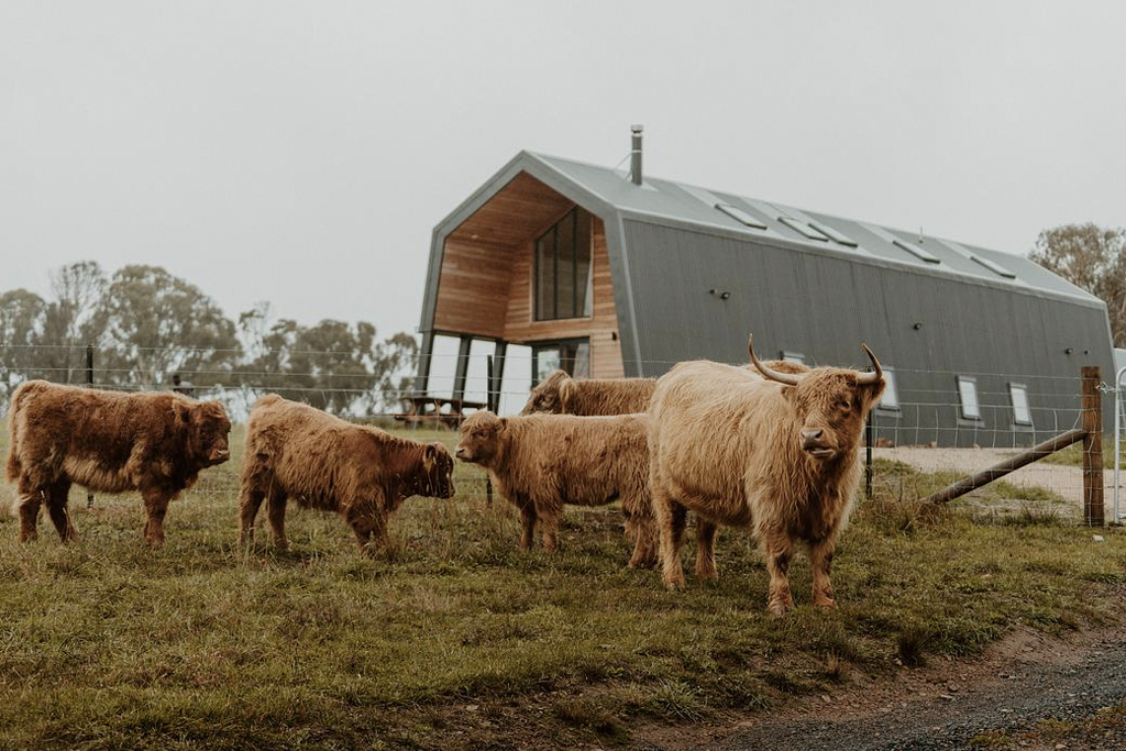 Avonside Alpine Estate