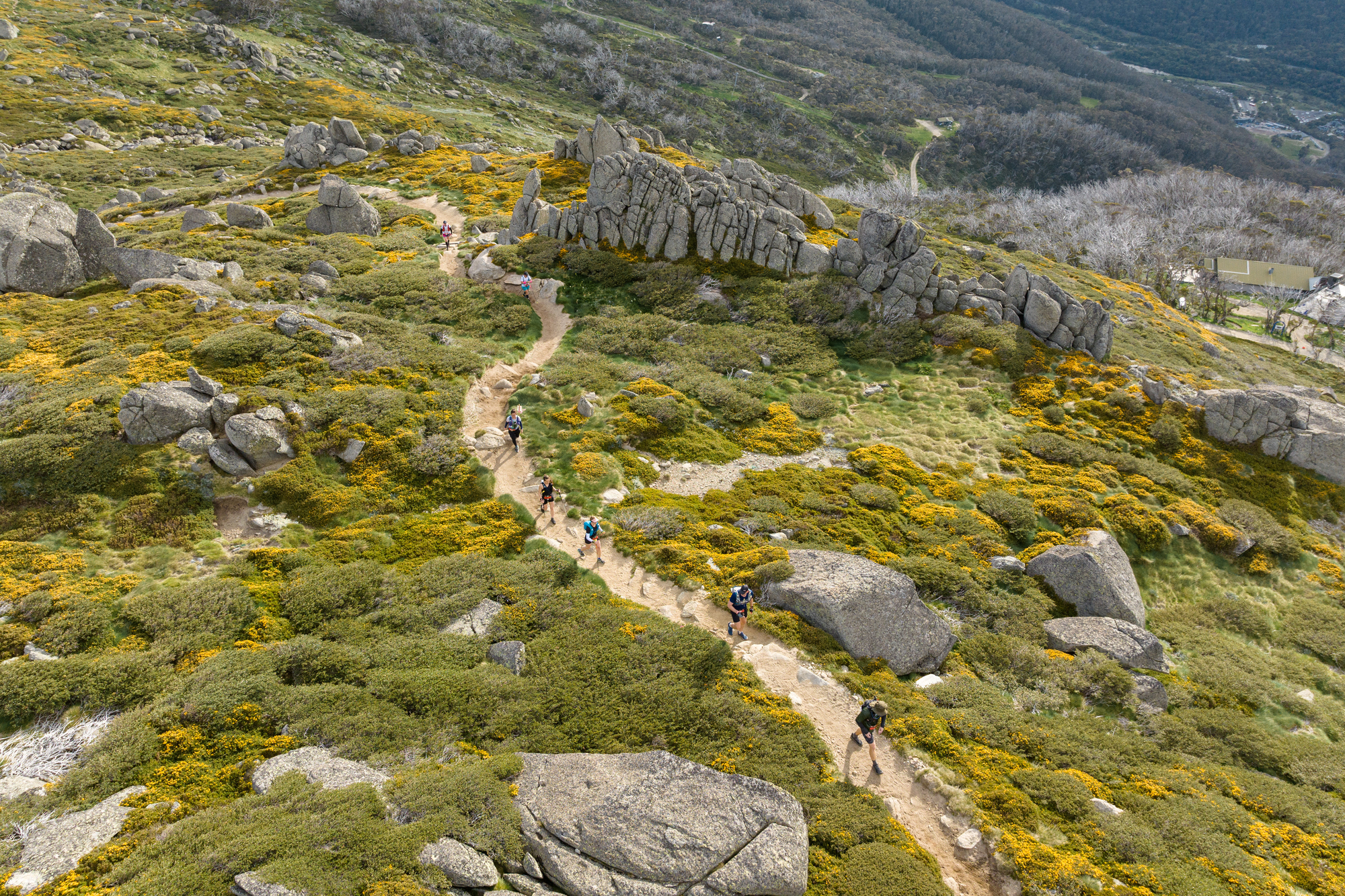 Ultra Trail Kosciuszko