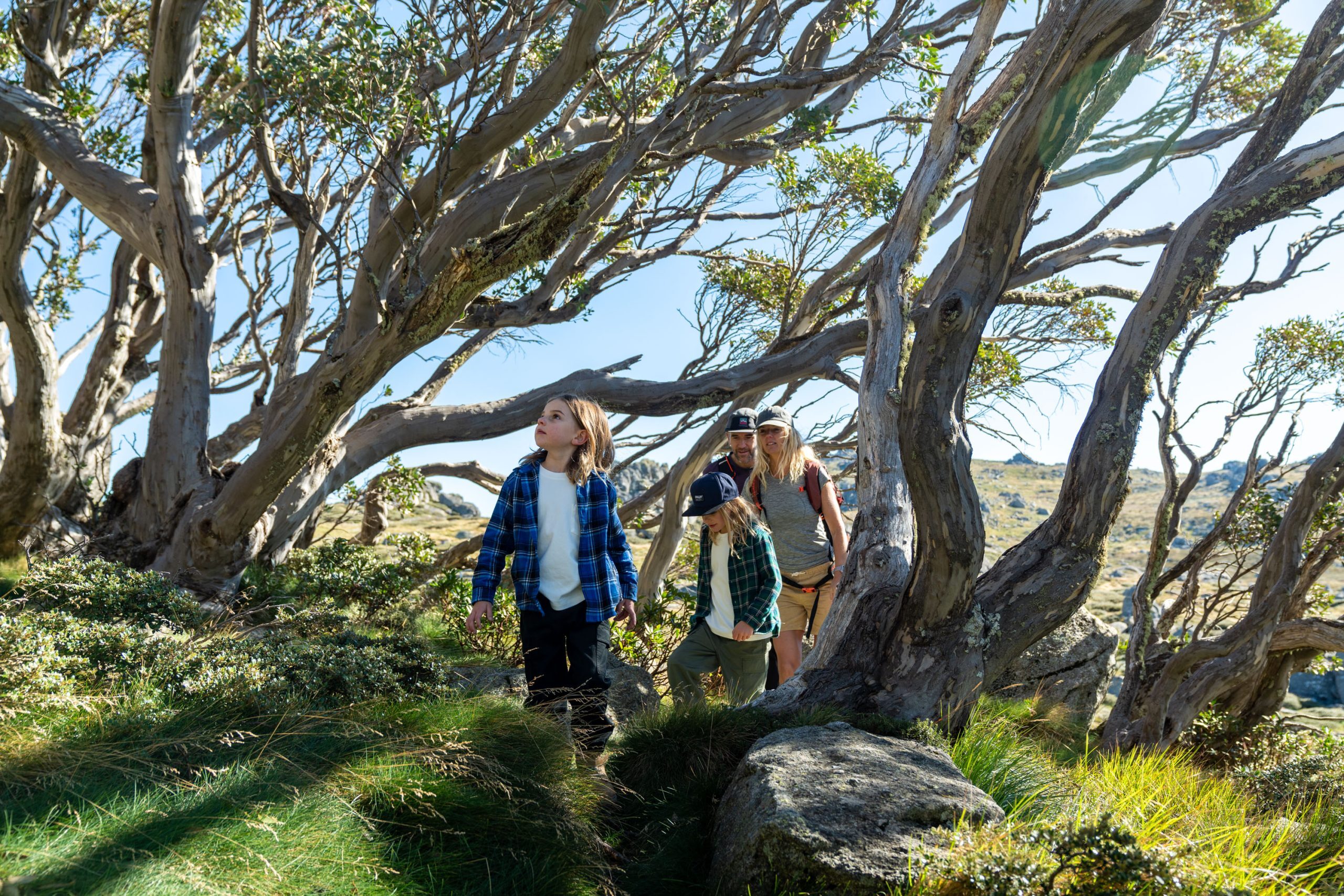 What Does Easter Look Like In The Snowy Mountains?