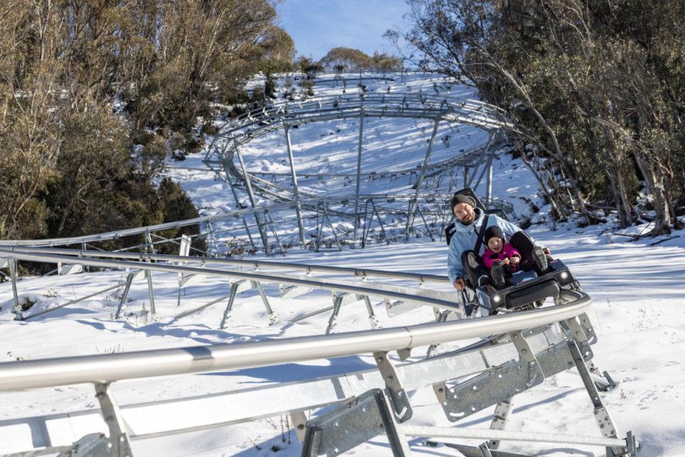 Alpine coaster winter