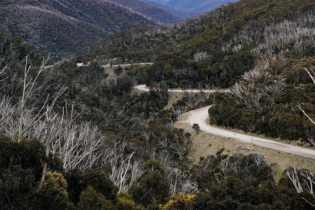 A winding mountain road weaves through thick bushland