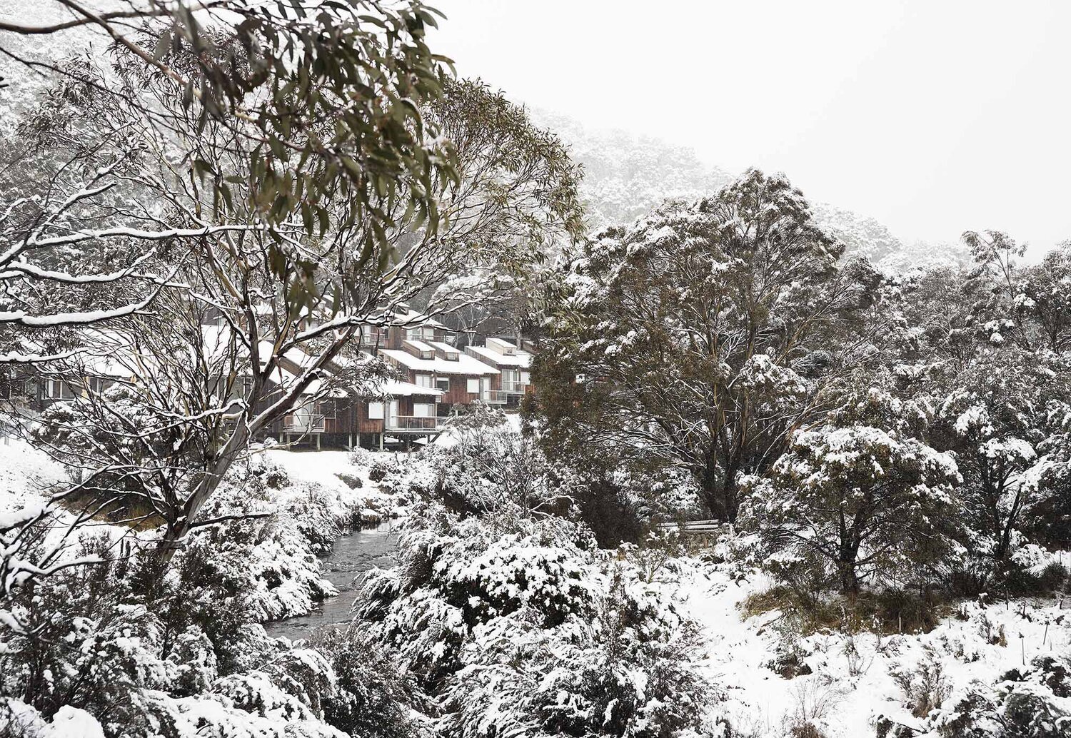 The Eastern Thredbo
