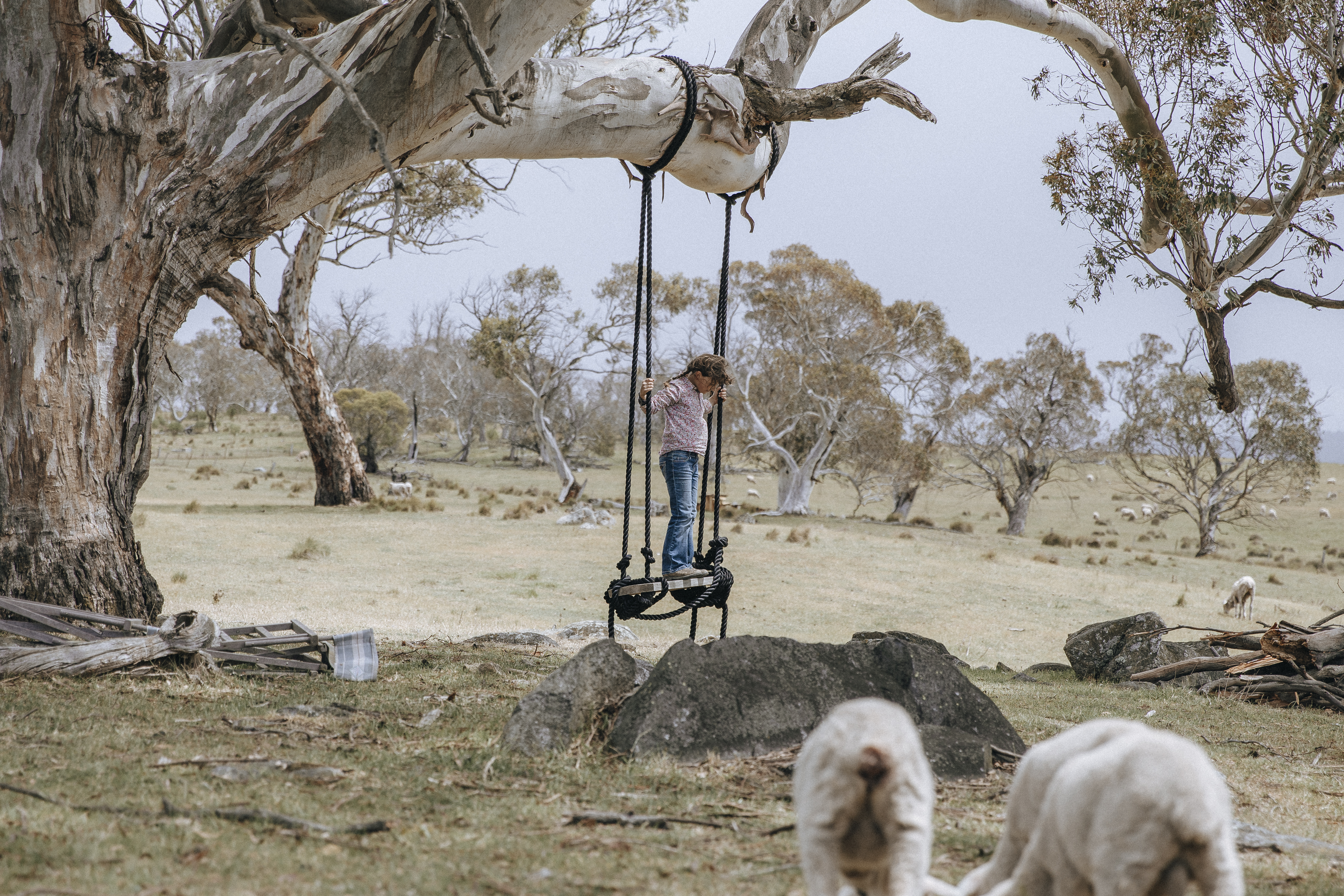 From The City To The Snowy Mountains: One Family's Move