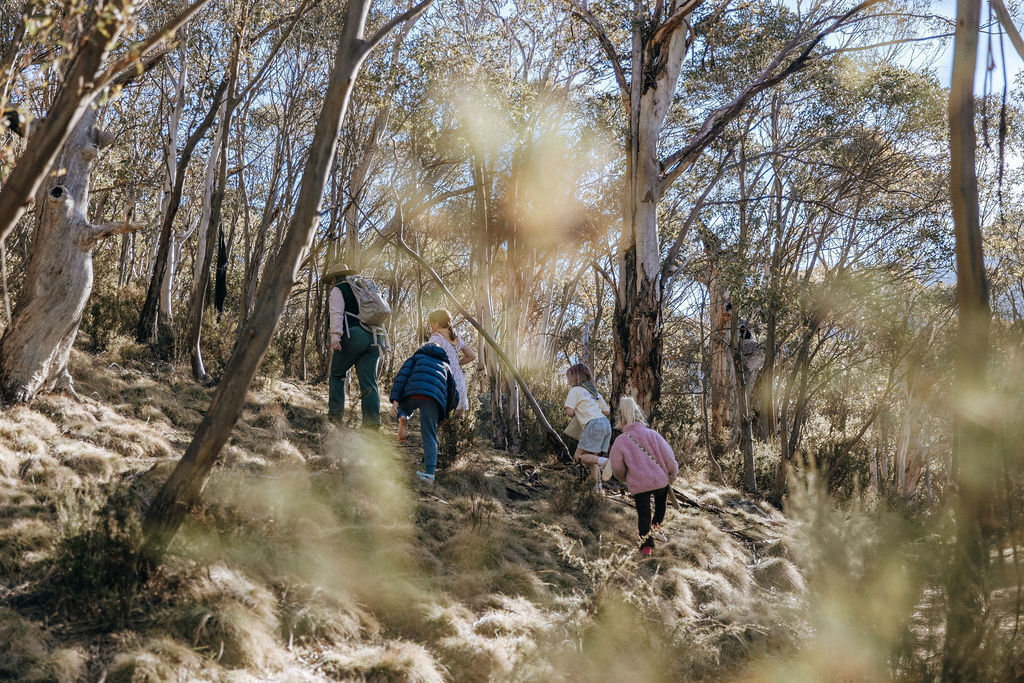 Become a Junior Ranger in Kosciuszko National Park These School Holidays