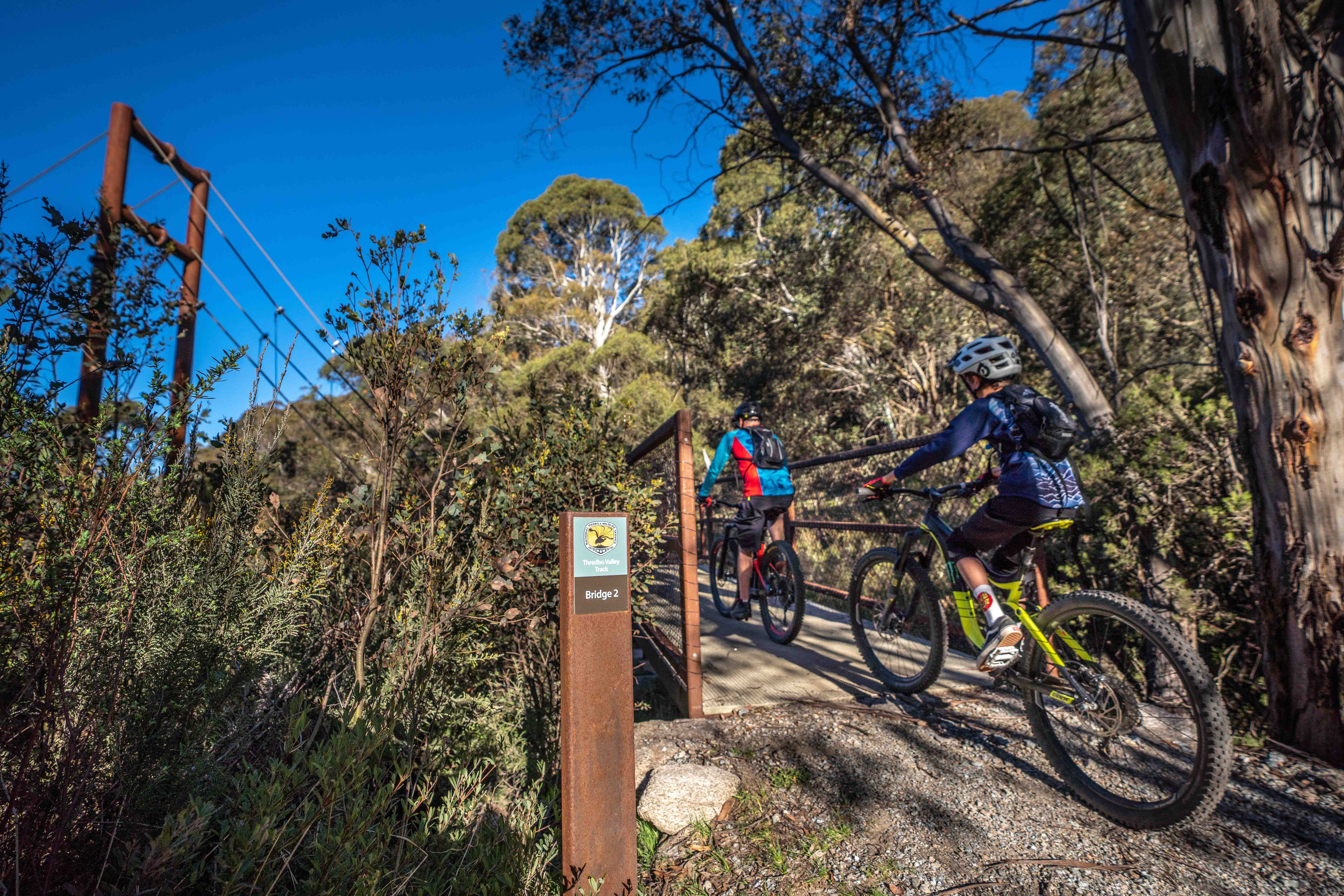 A father and son cross one of the Thredbo Valley Track suspension bridges