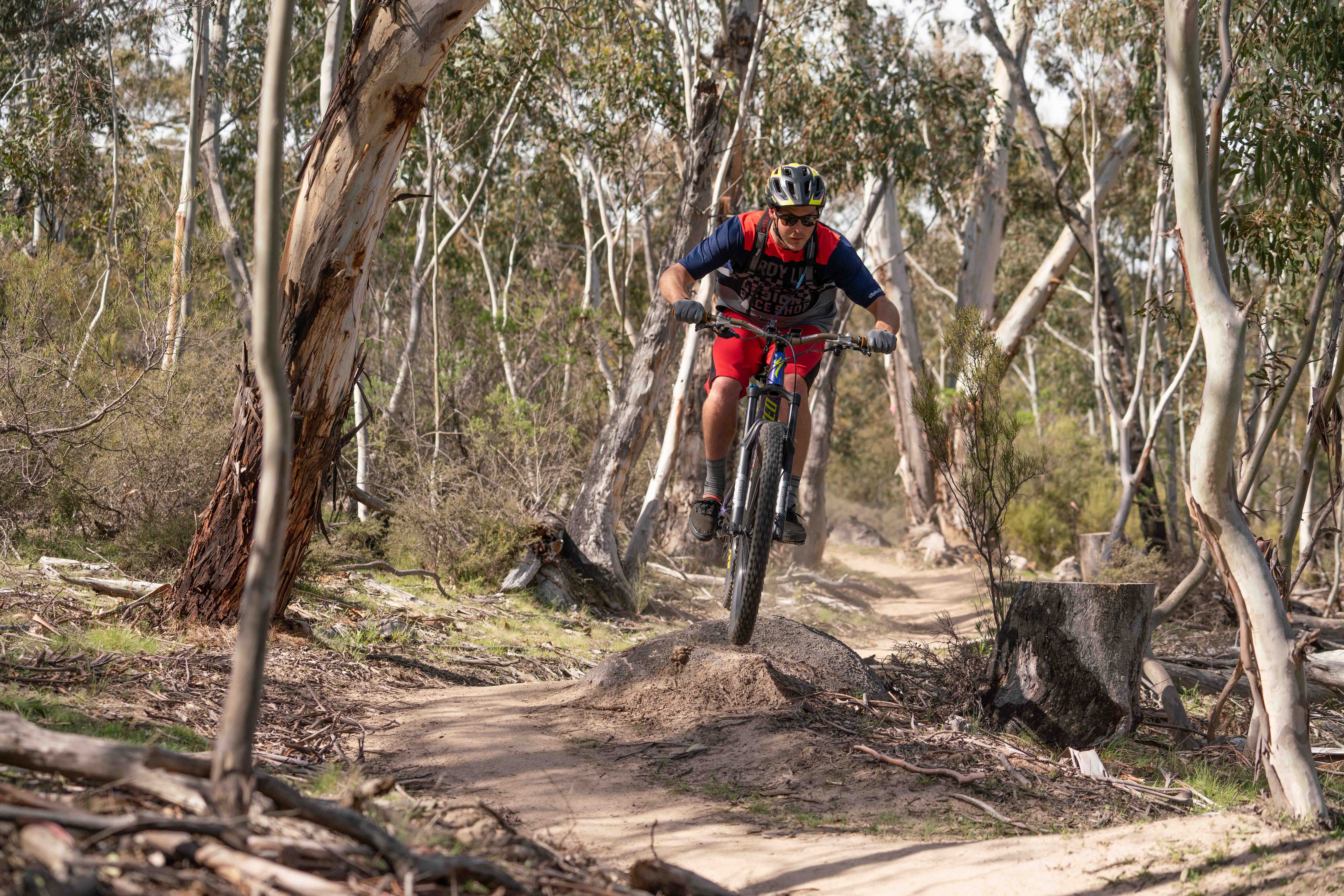 An experienced mountain bike rider on the Thredbo Valley Track