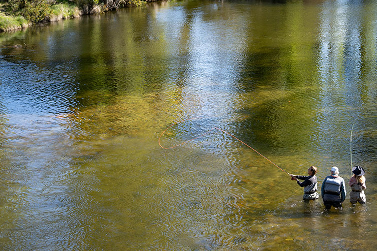 Three fly fishers standing in waders in the river casting a fly fishing line
