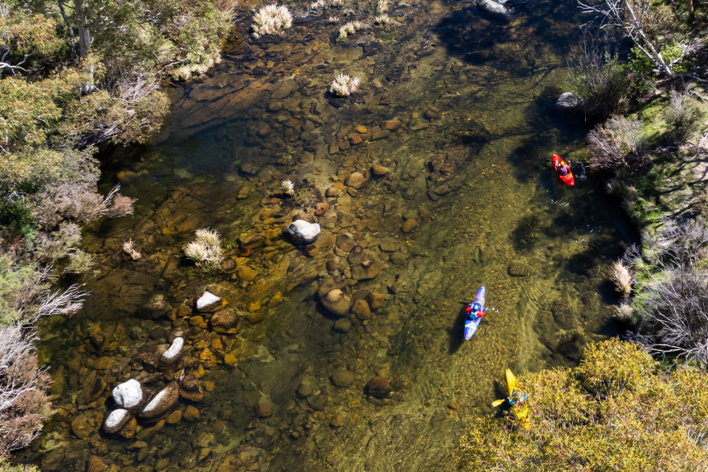Three kayaks floating on the clear waters of Thredbo River amongst bushland