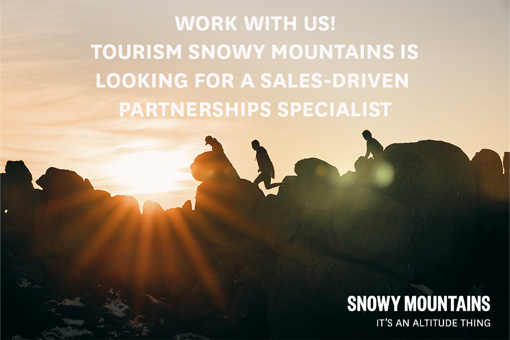 Join Our Team as a Sales-Driven Partnerships Specialist!